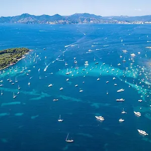 Profitez Du Festival Du Soleil De Cannes